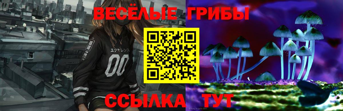 Выборг  Псилоцибиновые грибы Cubensis  Вход с VPN  Псилоцибиновые грибы мухоморы 