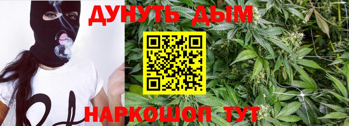 Бошки Шишки сатива Выборг